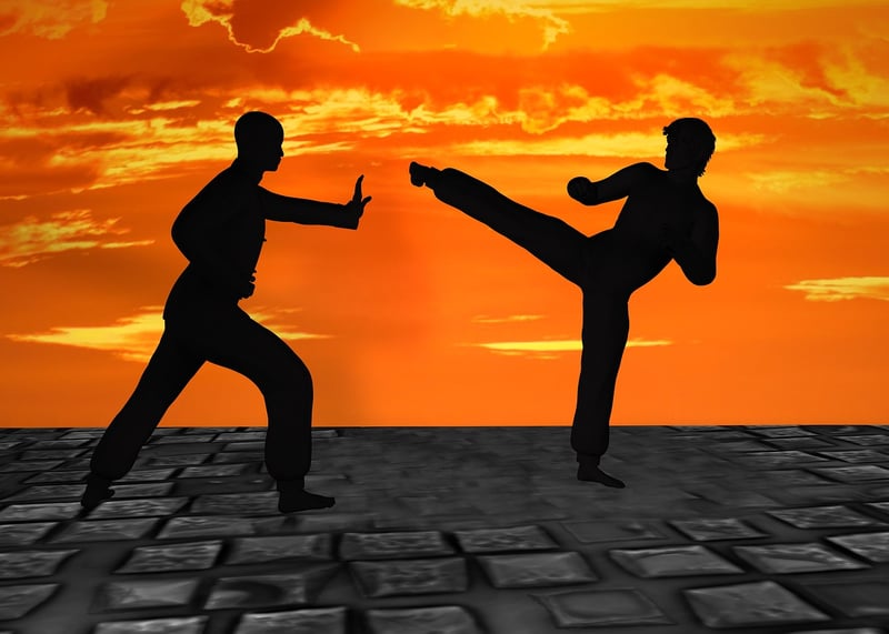 Kung Fu Martial Arts